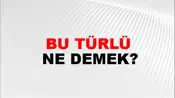 Bu Türlü