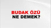 Budak Özü