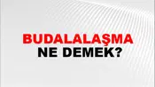 Budalalaşma