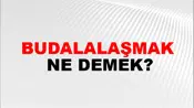 Budalalaşmak