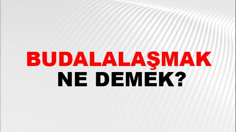 Budalalaşmak Budalalaşmak