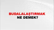 Budalalaştırmak