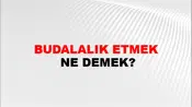 Budalalık Etmek