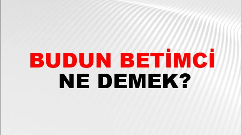 Budun Betimci Budun Betimci