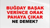 Buğday Başak Verince Orak Pahaya Çıkar