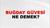 Buğday Güvesi