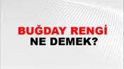 Buğday Rengi