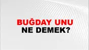 Buğday Unu