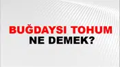 Buğdaysı Tohum