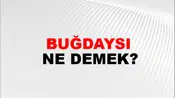 Buğdaysı