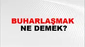 Buharlaşmak