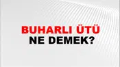 Buharlı Ütü