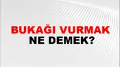 Bukağı Vurmak