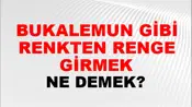 Bukalemun Gibi Renkten Renge Girmek