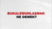 Bukalemunlaşmak