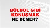 Bülbül Gibi Konuşmak (Veya okumak)
