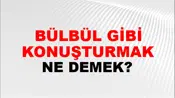 Bülbül Gibi Konuşturmak (Veya söyletmek)