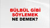 Bülbül Gibi Söylemek