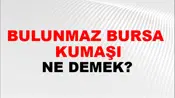 Bulunmaz Bursa (Veya hint) kumaşı