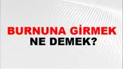 Burnuna Girmek