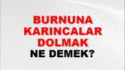 Burnuna Karıncalar Dolmak