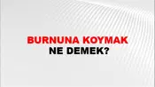 Burnuna Koymak