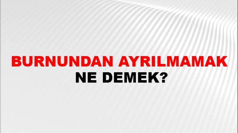 Burnundan Ayrılmamak Burnundan Ayrılmamak