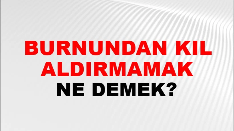 Burnundan Kıl Aldırmamak Burnundan Kıl Aldırmamak