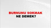 Burnunu Sokmak