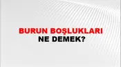 Burun Boşlukları