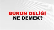 Burun Deliği