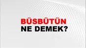 Büsbütün