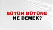 Bütün Bütüne