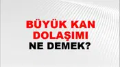 Büyük Kan Dolaşımı