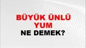 Büyük Ünlü Uyumu
