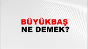 Büyükbaş