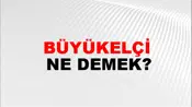 Büyükelçi
