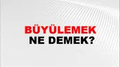 Büyülemek