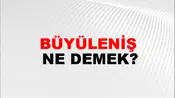 Büyüleniş