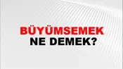 Büyümsemek