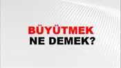 Büyütmek