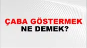 Çaba Göstermek