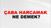 Çaba Harcamak