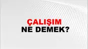 Çalışım