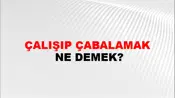 Çalışıp Çabalamak
