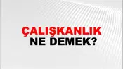 Çalışkanlık