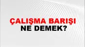 Çalışma Barışı