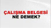 Çalışma Belgesi