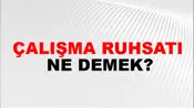 Çalışma Ruhsatı