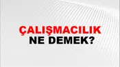 Çalışmacılık